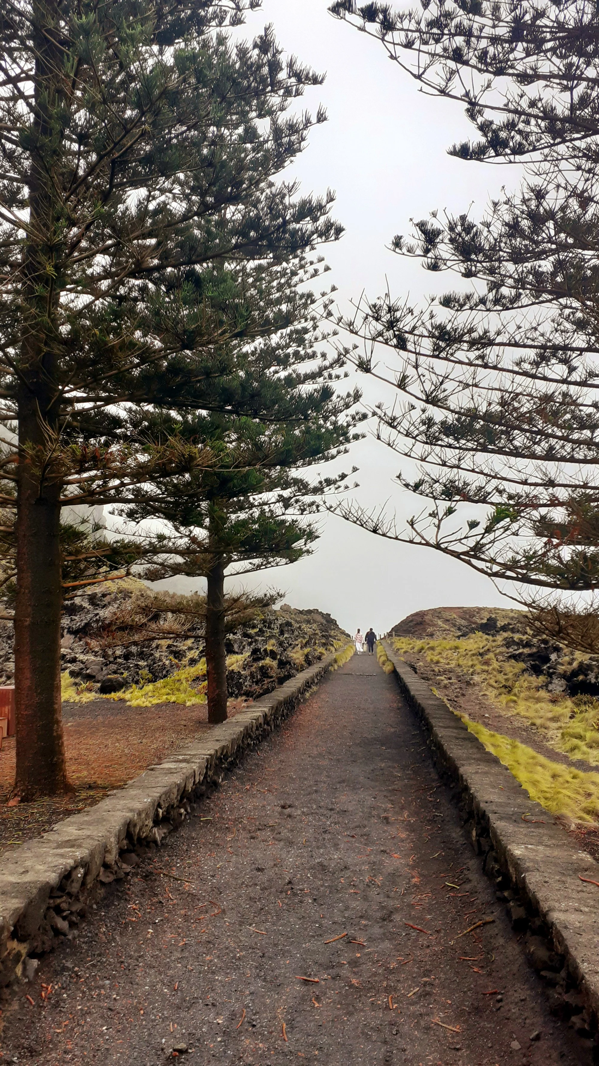 Azores