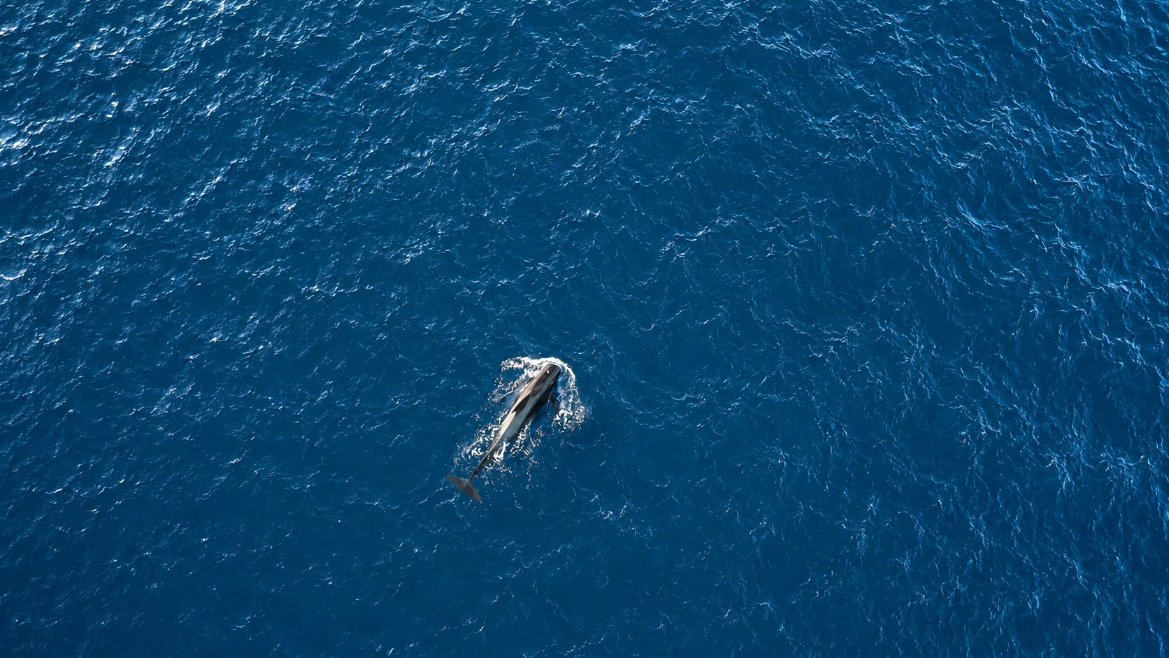 Sailing around the Azores aboard Mirabo