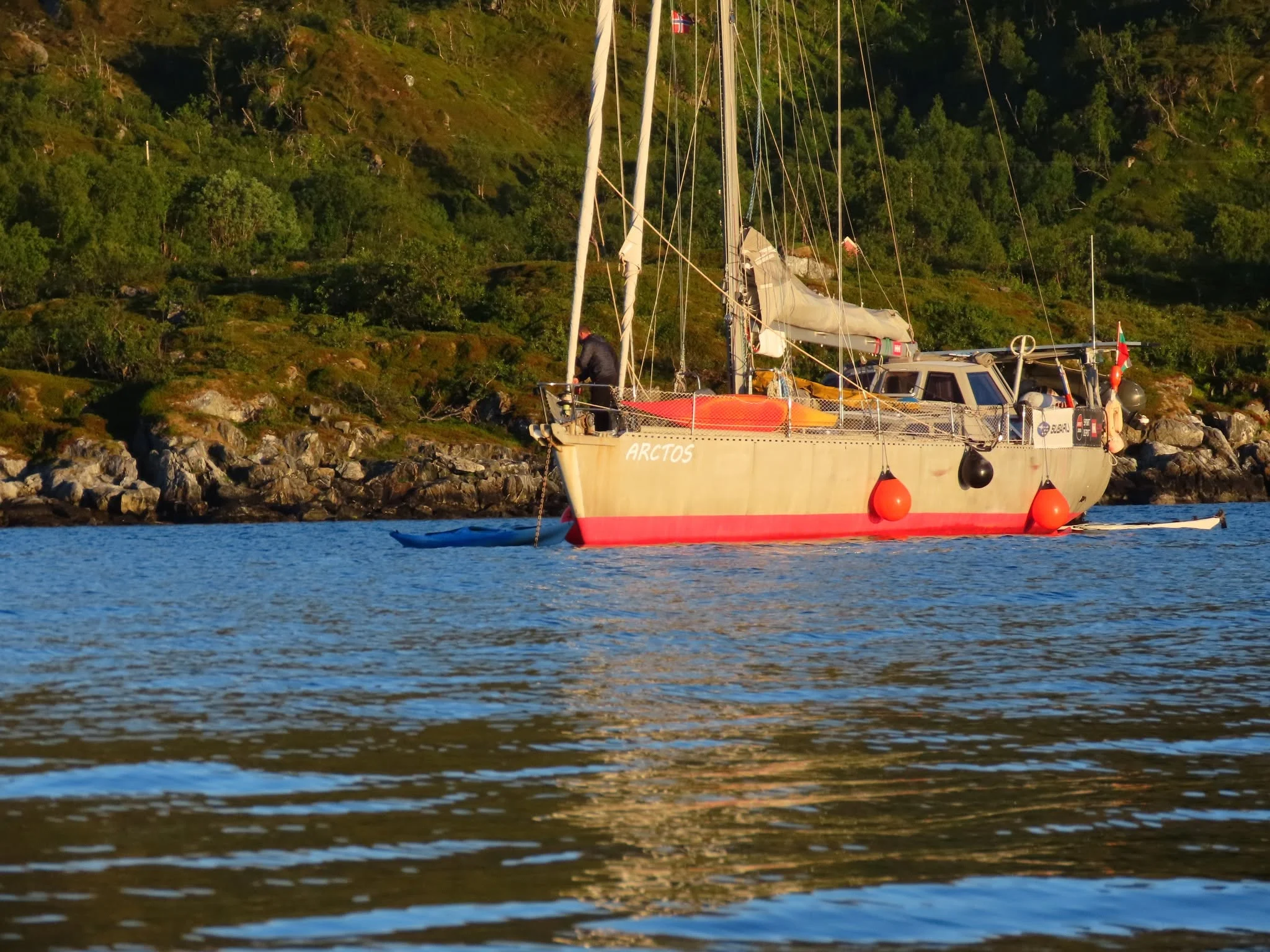Arctos in a northern expedition sailing setting