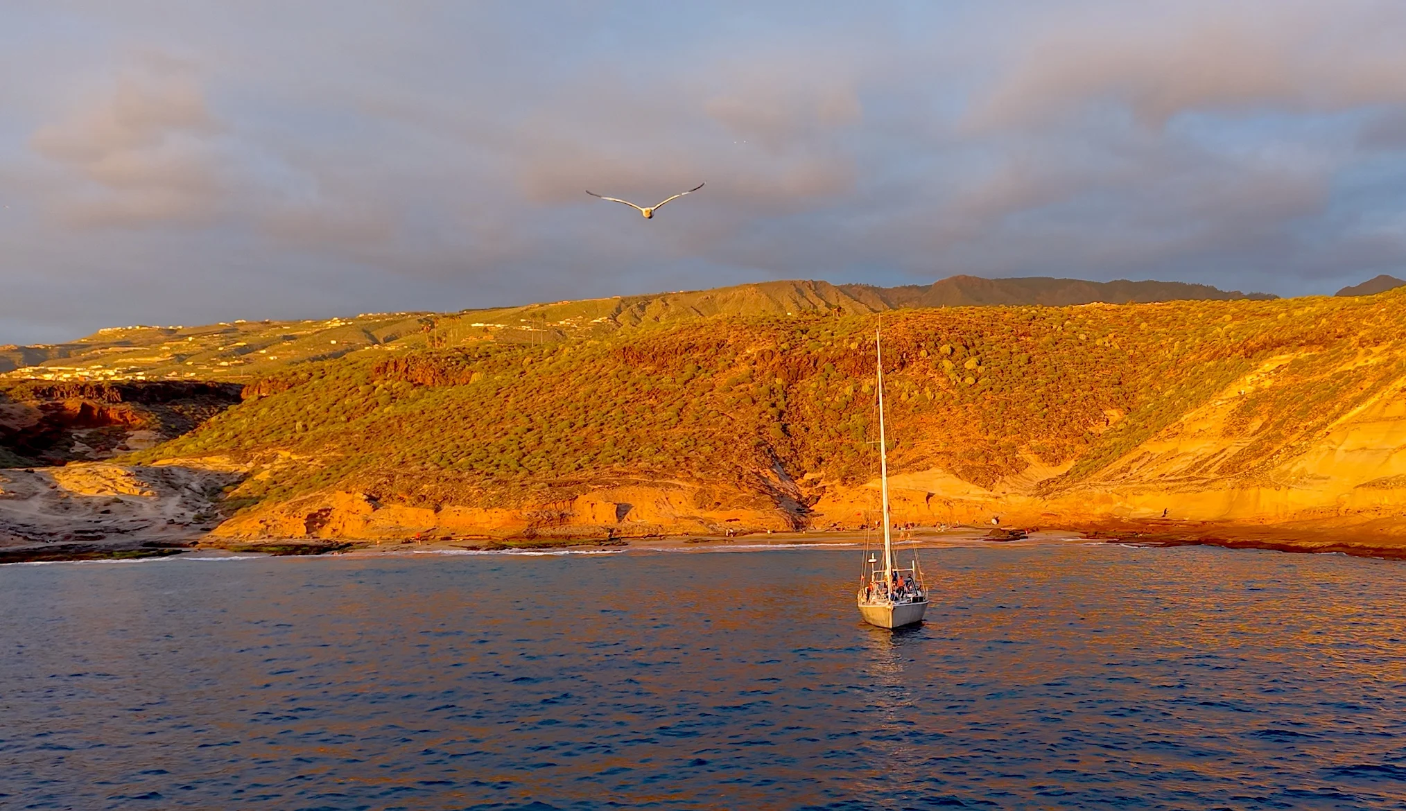 Canary Islands Yacht Volcanic Coast