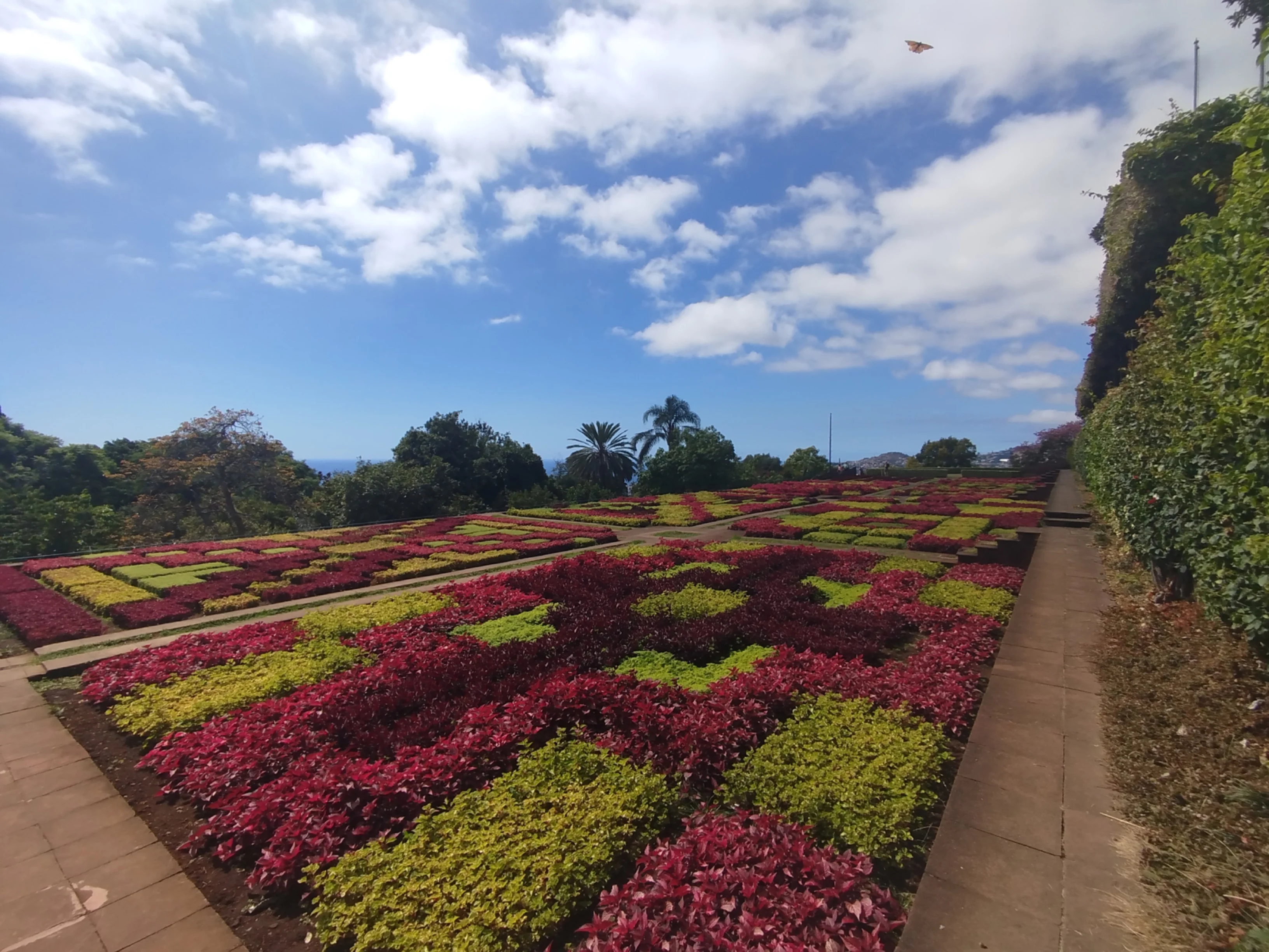 Madeira sailing